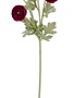 Garden Ranunculus Spray (4-colors)