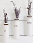 Tall White Message Vase (3-Styles)