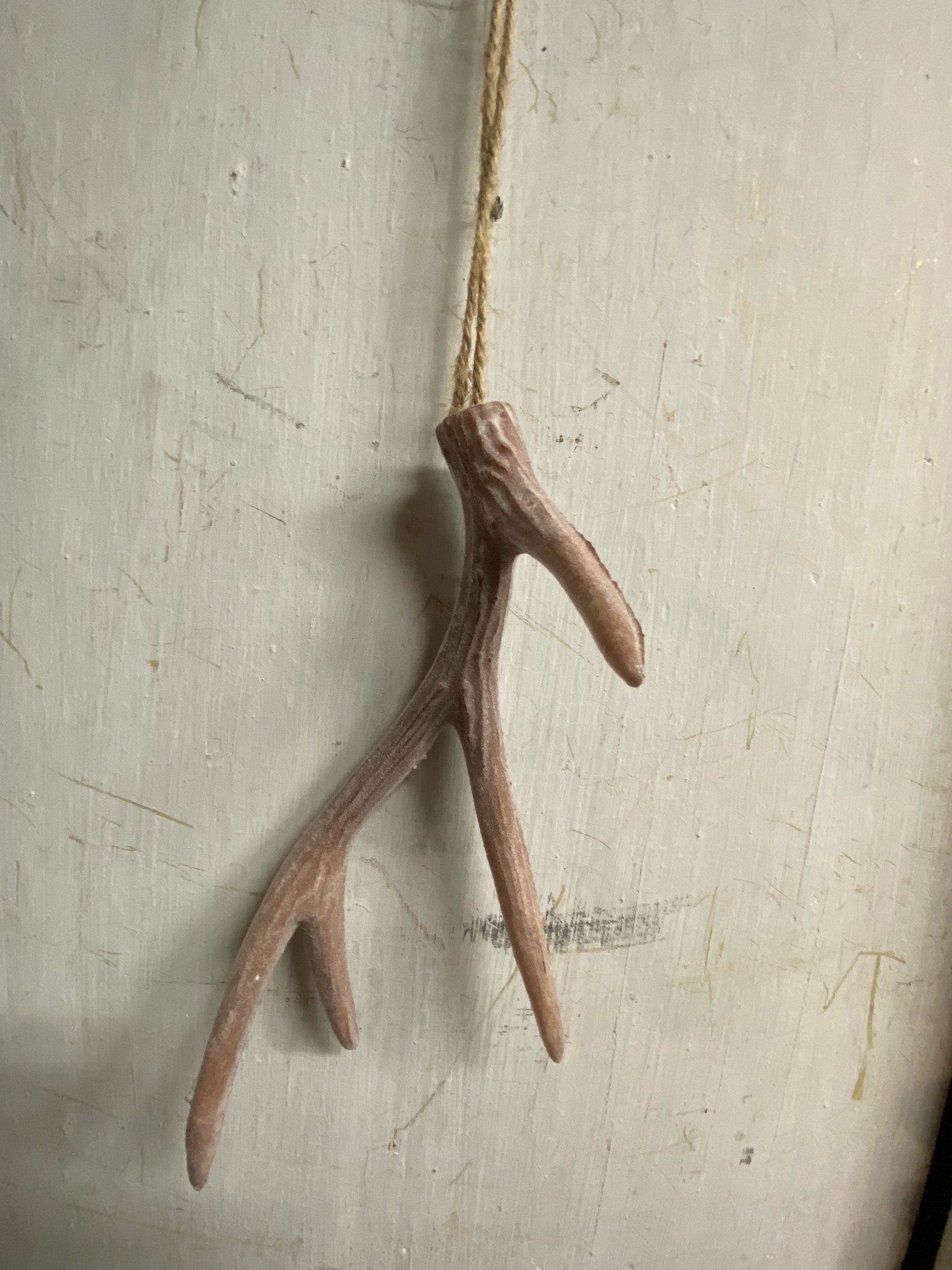 13" Antler Ornament (2-Colors)