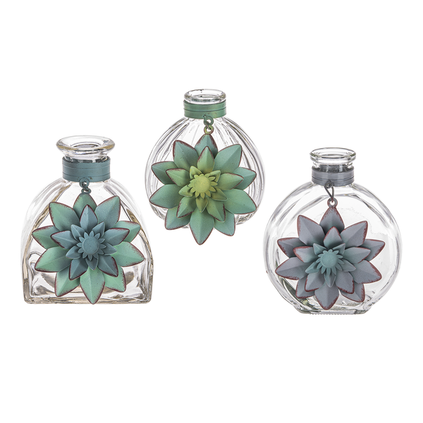 Small Glass Succulent Vase (3-Styles)
