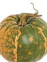 Round Green Orange Speckled Pumpkin