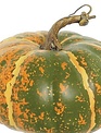 Flat Green Orange Speckled Pumpkin