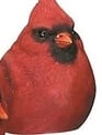 Red Male Cardinal (4-Styles)