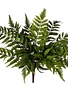 Natural Touch Forest Fern