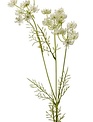 Triple Bloom Yarrow Yarrow Spray (2-Colors)