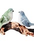 Song Bird Couple on Branch