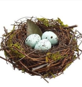 Twig Nest w/ Blue Eggs