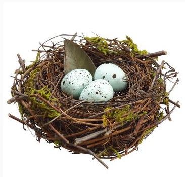 Twig Nest w/ Blue Eggs