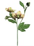 Hellebores Spray (4-Colors)
