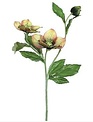 Hellebores Spray (4-Colors)