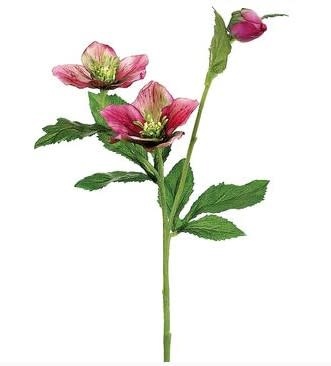 Hellebores Spray (4-Colors)