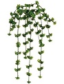 20" Trailing Sedum Vine