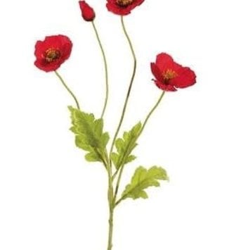 Natural Poppy Spray (4-Colors)