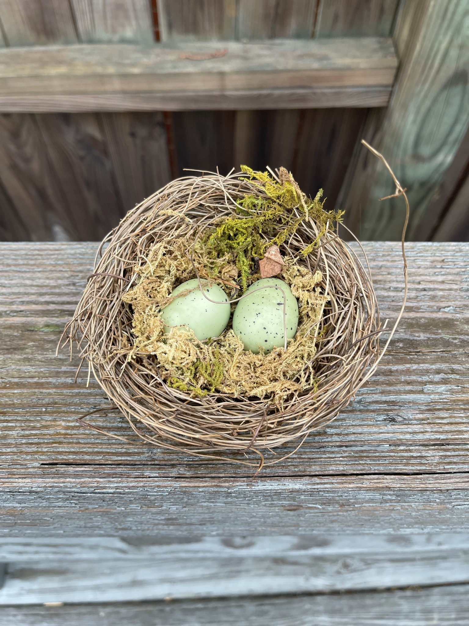Vine Nest with 2 Blue Eggs