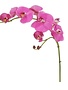 Natural Touch Phalaenopsis Spray (4-Colors)