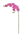 Natural Touch Phalaenopsis Spray (4-Colors)