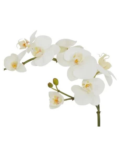 Natural Touch Phalaenopsis Spray (4-Colors)