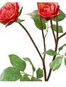 Cottage Rose Spray (4-Colors)