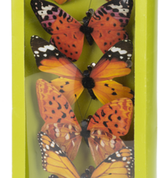Set of 6 Clip on Butterflies