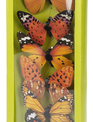 Set of 6 Clip on Butterflies