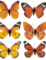 Set of 6 Clip on Butterflies