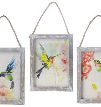 Hanging Hummingbird Framed Print (3-Styles)