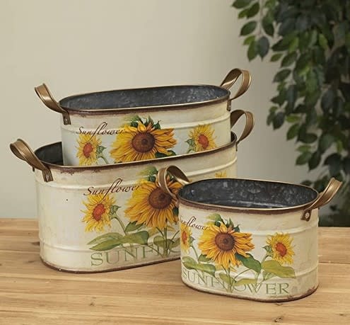 Metal Oval Sunflower Container(3-Sizes)