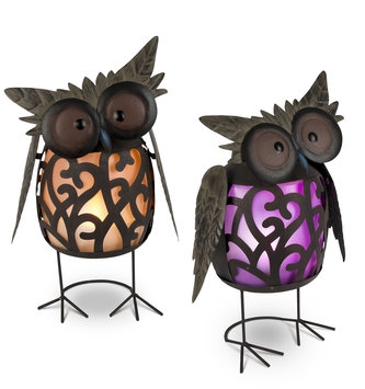 Solar Standing Hoot Owl (2-Colors)