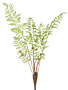 36" Fern Palm Bush