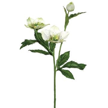 Hellebores Spray (4-Colors)