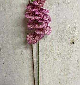 28" Orchid Phalaenopsis Spray