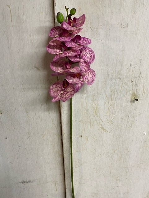 28" Orchid Phalaenopsis Spray