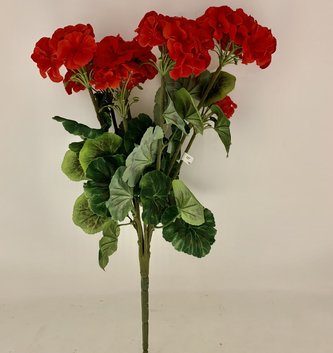 Garden Geranium (2-Colors) Garden Geranium (2-Colors)