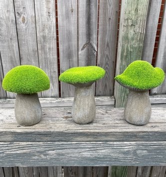 Terra Cotta Moss Mushroom (3-Styles)