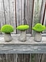 Terra Cotta Moss Mushroom (3-Styles)