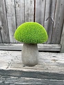 Terra Cotta Moss Mushroom (3-Styles)