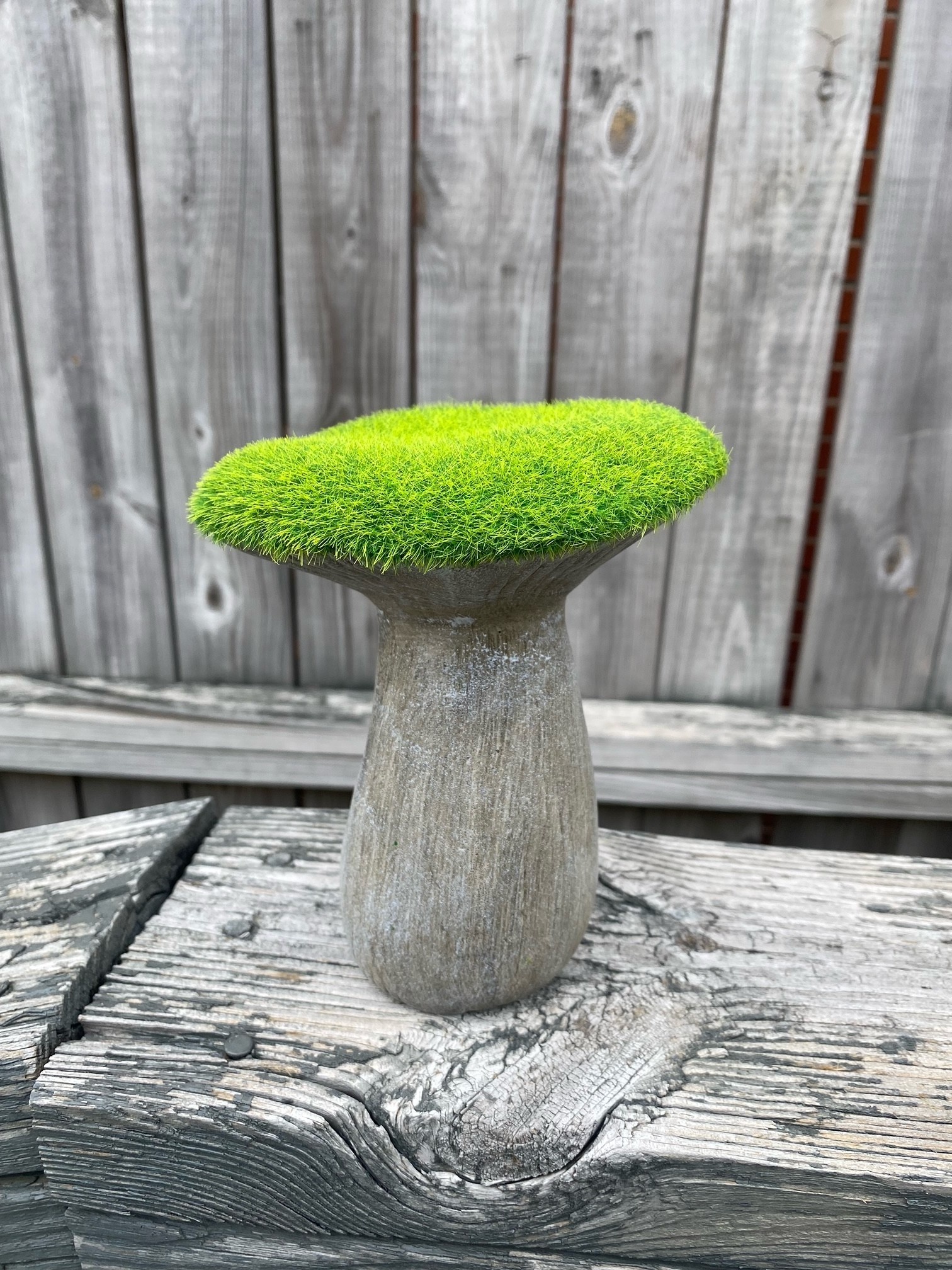 Terra Cotta Moss Mushroom (3-Styles)