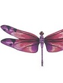 Majestic Dragonfly Magnet (6-Styles)