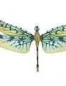 Majestic Dragonfly Magnet (6-Styles)