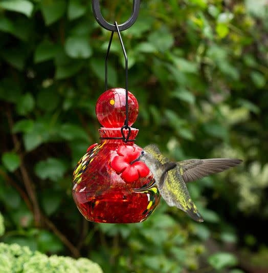 Solar Lunalite Globe Hummingbird Feeder