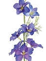 25" Delphinium Spray (3-Colors)