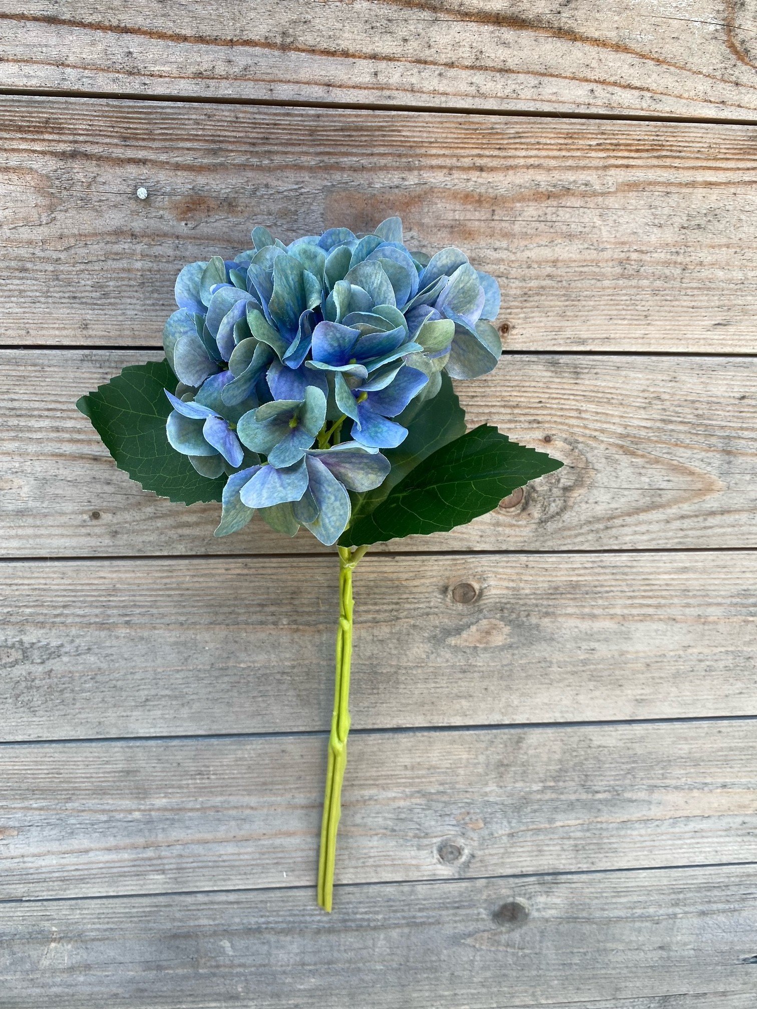 13.7" Variegated Hydrangea (3-Colors)