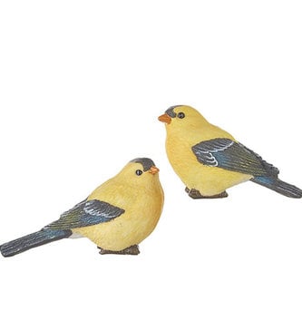 4" Yellow Finch (2-Styles)