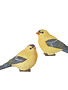 4" Yellow Finch (2-Styles)