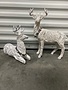 Set of 2 Graywashed Deer