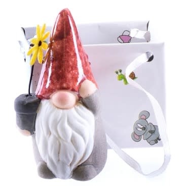 Gnome in Gift Bag