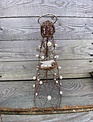 Standing Wire Snowflake Angel w/ Pearls (3-Sizes)