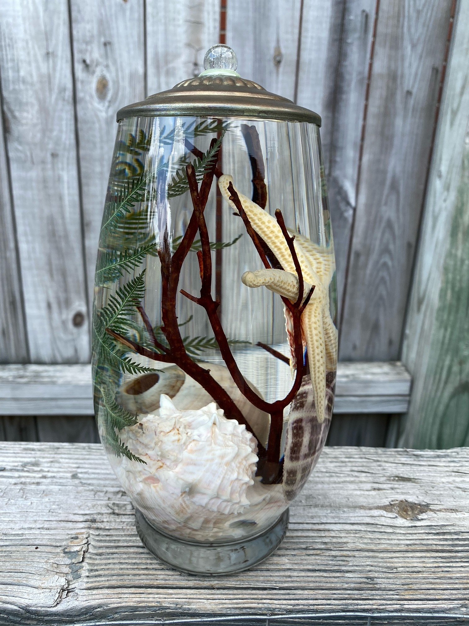 Seashell Lifetime Oil Candle (9-Styles)