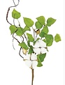 Cotton & Birch Leaf Pick