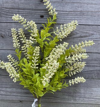 Berry Seed Bush